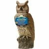 Cheapest 👏 Gardeneer By Dalen Scarecrow Owl Rotating Head 😉