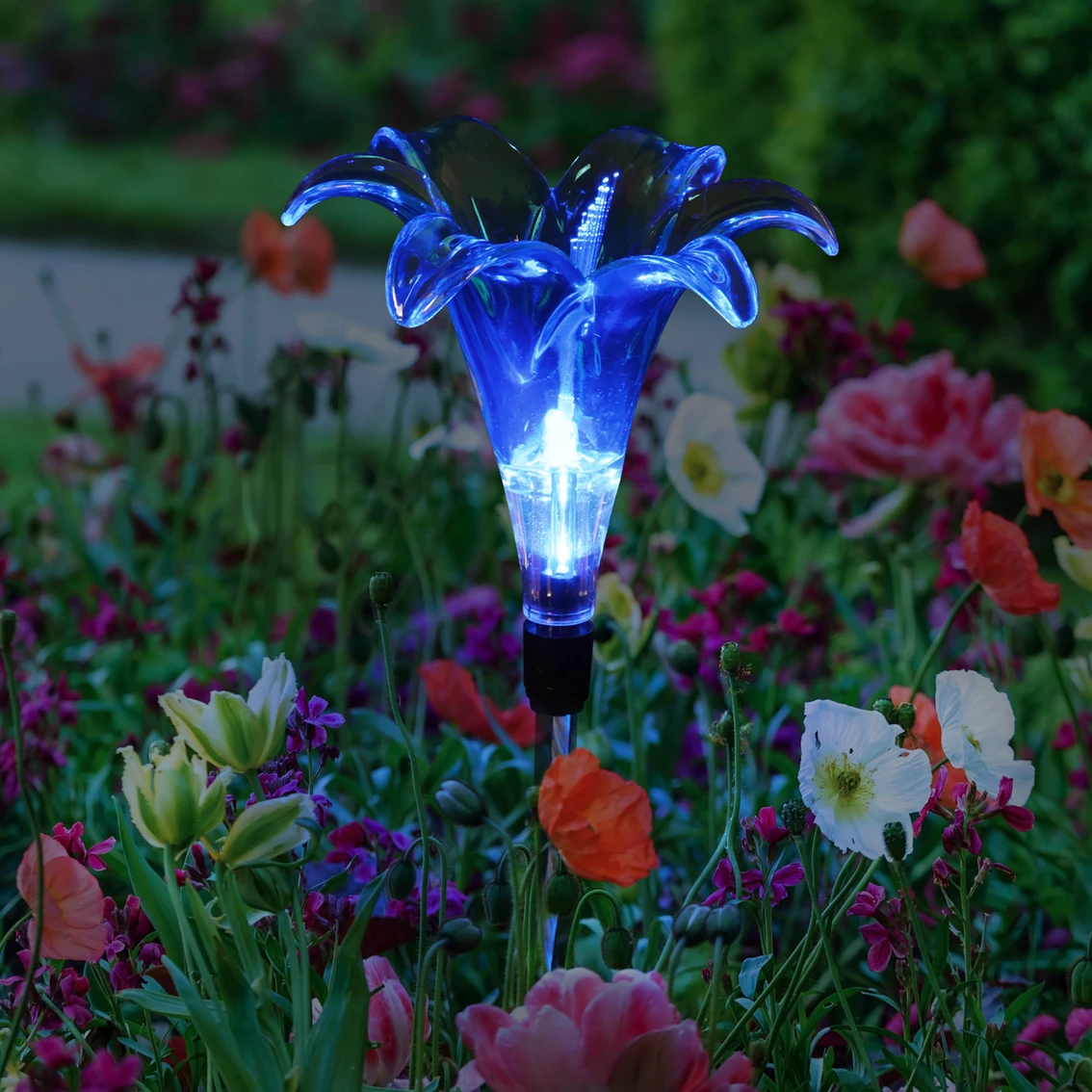 Top 10 ๐ Exhart Solar Plastic Blue Lily Garden Stake ๐ 3 Top 10 ๐ Exhart Solar Plastic Blue Lily Garden Stake ๐ - Image 3