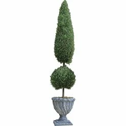 Buy โ๏ธ Design Toscano Topiary Tree, Classic ๐
