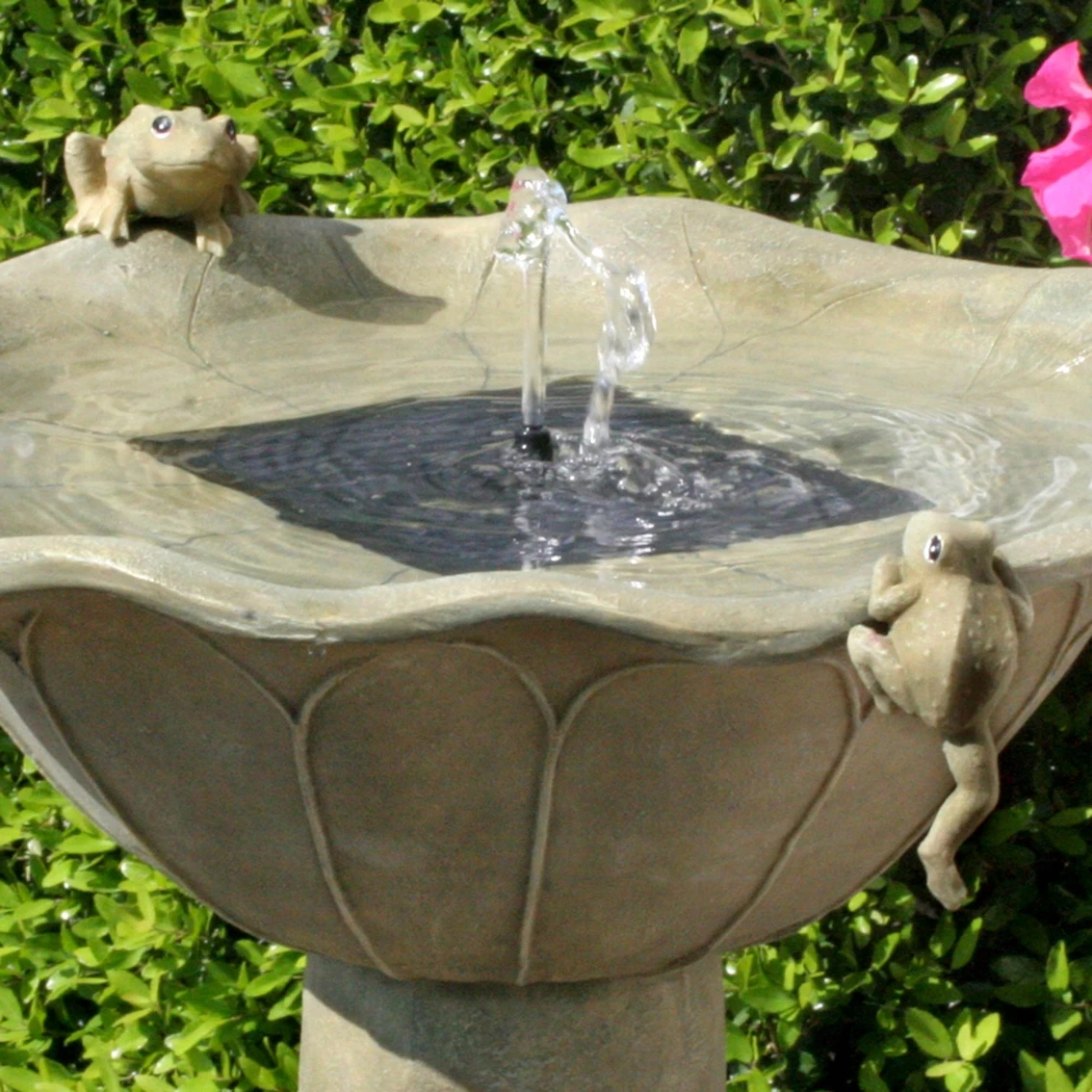 Cheap ๐ Smart Living Acadia Solar Birdbath Fountain โ 2 Cheap ๐ Smart Living Acadia Solar Birdbath Fountain โ - Image 2